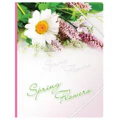 Папка на резинке Berlingo &quot;Spring Flowers&quot; А4, 550мкм, рисунок, фото 1