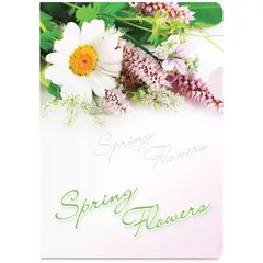 Папка-уголок Berlingo &quot;Spring Flowers&quot;, А4, 180мкм, рисунок, фото 1