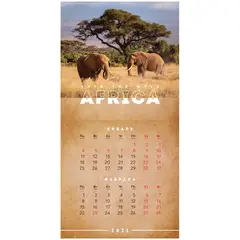 Календарь настенный перекидной на скрепке, 20*20 6 л. OfficeSpace &quot;Africa&quot;, 2021г., фото 1