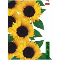 Тетрадь на кольцах А5, 160л., Hatber &quot;Sunflowers&quot;, глянцевая ламинация, фото 1