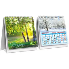 Календарь-домик 98*140мм, ЛиС &quot;Природа. Три березы&quot;, на гребне, 2021г, фото 1