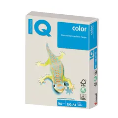 Бумага IQ color, А4, 160 г/м2, 250 л., умеренно-интенсив, серая, GR21, фото 1