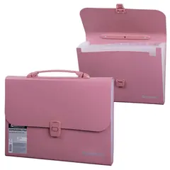 Портфель пластиковый BRAUBERG А4 (327х254х30 мм), 13 отделений, индексные ярлыки, розовый, 221441, фото 1
