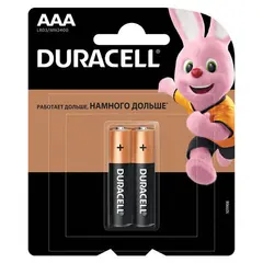 Батарейки DURACELL Basic, AAA (LR03, 24А), алкалиновые, КОМПЛЕКТ 2 шт., в блистере, фото 1