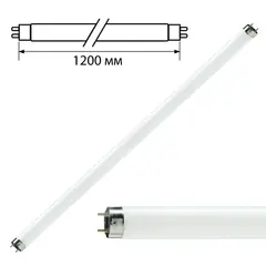 Лампа люминесцентная PHILIPS TL-D 36W/33-640, 36 Вт, цоколь G13, в виде трубки 120 см, фото 1