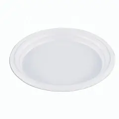 Одноразовые тарелки плоские, КОМПЛЕКТ 100 шт, пластиковые, d=165 мм, &quot;ЭКОНОМ&quot;, белые, полистирол (ПС), холодное/горяч, СТИРОЛПЛАСТ, фото 1