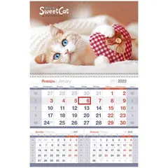 Календарь квартальный 1 бл. на гребне OfficeSpace Mono premium &quot;Sweet cat&quot;, 2022г., фото 1