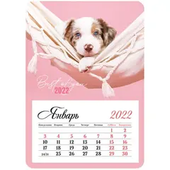 Календарь отрывной на магните 95*135мм склейка OfficeSpace &quot;Mono - Милый щенок&quot;, 2022г., фото 1