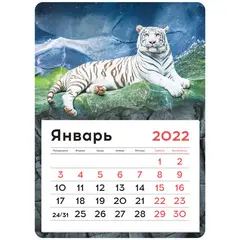 Календарь отрывной на магните 130*180мм склейка OfficeSpace &quot;Mono - White tiger&quot;, 2022г, фото 1