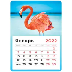 Календарь отрывной на магните 130*180мм склейка OfficeSpace &quot;Mono - Flamingos&quot;, 2022г, фото 1