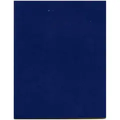 Тетрадь 48л., А5 клетка BG, бумвинил, синий, эконом, фото 1