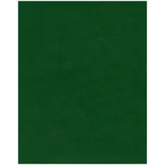 Тетрадь 48л., А5 клетка BG, бумвинил, зеленый, эконом, фото 1