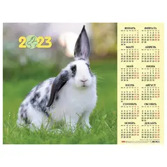Календарь настенный листовой 2023 г., формат А2 (60х45 см), &quot;Год Кролика 2&quot;, HATBER, Кл2_28014, фото 1