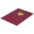 Папка адресная бумвинил с гербом России, 3D-печать, формат А4, бордовая, индивидуальная упаковка, ПД-013, фото 6