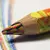 Карандаш с многоцветным грифелем KOH-I-NOOR, 1шт., Magic &quot;Original&quot;, 5,6 мм, блистер, 3405001008BL, фото 4