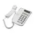 Телефон RITMIX RT-440 white, АОН, спикерфон, быстрый набор 3 номеров, автодозвон, дата, время, белый, 15118353, фото 2