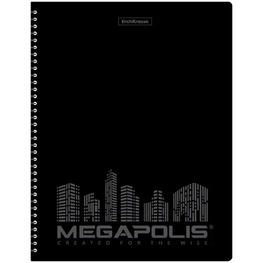 Папка с 20 вкладышами на спирали Erich Krause &quot;Megapolis&quot;, 600мкм, черная, фото 1