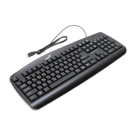 Клавиатура проводная GENIUS KB-110, USB, 104 клавиши, черная, 31300700100, фото 1
