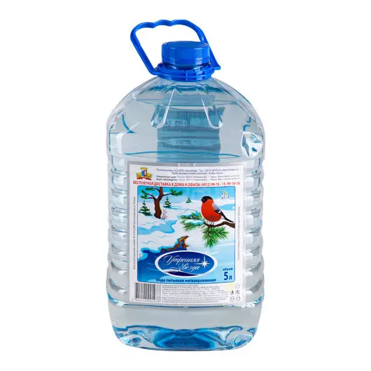 Вода питьевая негазированная Утренняя звезда, 5л, пластиковая бутыль, фото 1