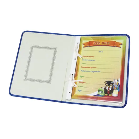 Папка-портфолио дошкольника ПЧЕЛКА, 8 вкладышей, универсальная, ламинированный картон, с рисунком, ПТШ-2, фото 2