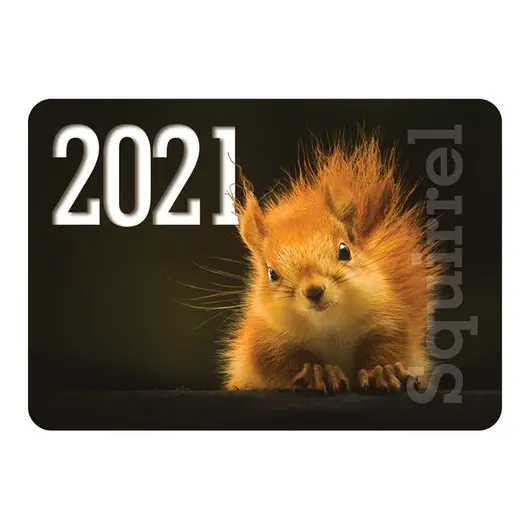 Календарь карманный Hatber &quot;Животные&quot;, глянцевая ламинация, 2021г, фото 9