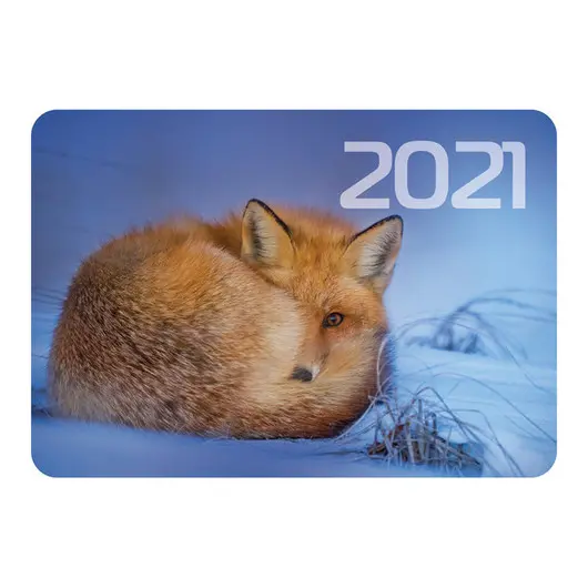 Календарь карманный Hatber &quot;Животные&quot;, глянцевая ламинация, 2021г, фото 8
