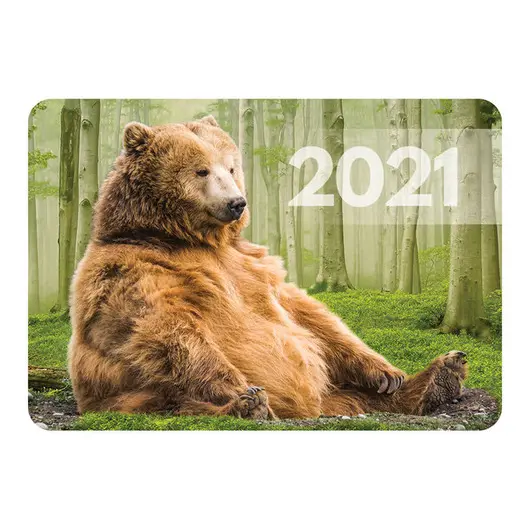 Календарь карманный Hatber &quot;Животные&quot;, глянцевая ламинация, 2021г, фото 6