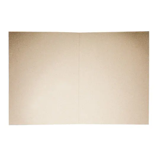 Папка-обложка OfficeSpace &quot;Дело&quot;, Герб России, картон немелованный, 300г/м2, белый, до 200л., фото 2
