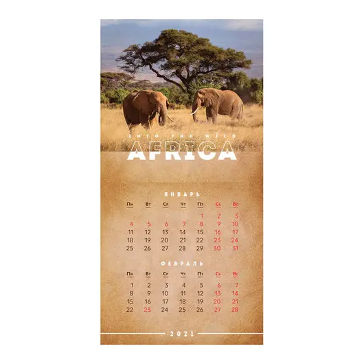 Календарь настенный перекидной на скрепке, 20*20 6 л. OfficeSpace &quot;Africa&quot;, 2021г., фото 1
