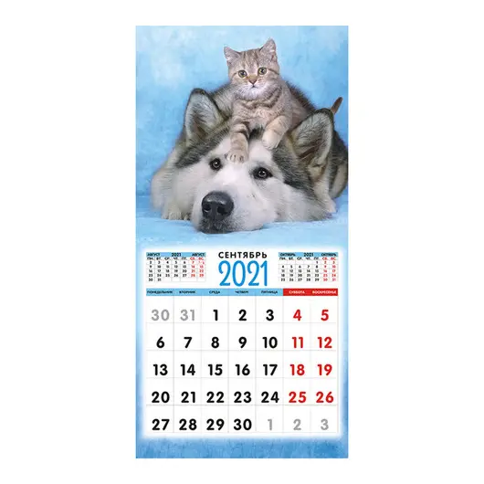 Календарь настенный перекидной на скрепке, 23*23 12 л. ЛиС &quot;Как кошка с собакой&quot;, 2021, фото 3