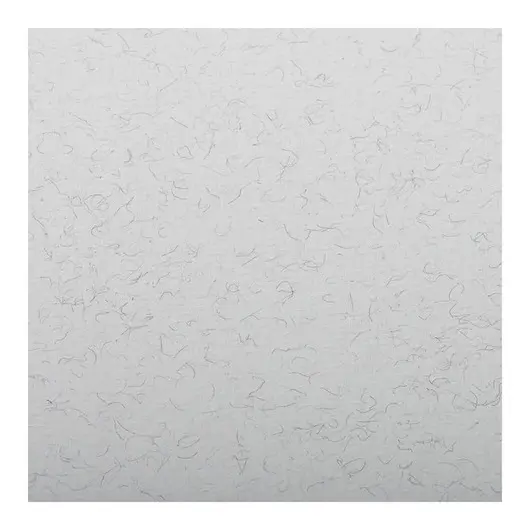 Бумага для пастели 25л. 500*650мм Clairefontaine &quot;Ingres&quot;, 130г/м2, верже, хлопок, бледно-серый, фото 1