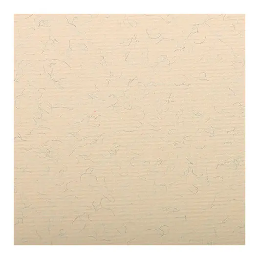 Бумага для пастели 25л. 500*650мм Clairefontaine &quot;Ingres&quot;, 130г/м2, верже, хлопок, мраморный крем, фото 1