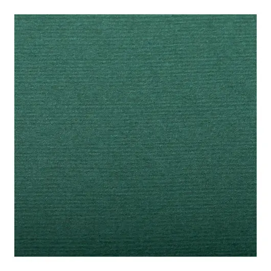 Бумага для пастели 25л. 500*650мм Clairefontaine &quot;Ingres&quot;, 130г/м2, верже, хлопок, темно-зеленый, фото 1
