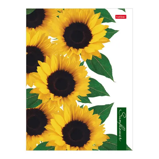 Тетрадь на кольцах А5, 160л., Hatber &quot;Sunflowers&quot;, глянцевая ламинация, фото 1