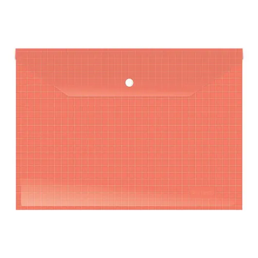 Папка-конверт на кнопке Berlingo, А4, 140мкм, прозрачная, клетчатая запечатка, ассорти, фото 4