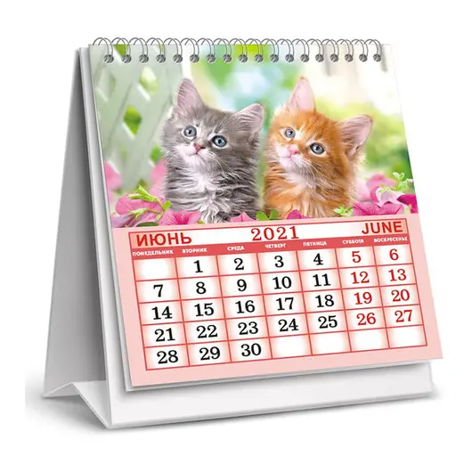 Календарь-домик 98*140мм, ЛиС &quot;Кошки&quot;, на гребне, 2021г, фото 3