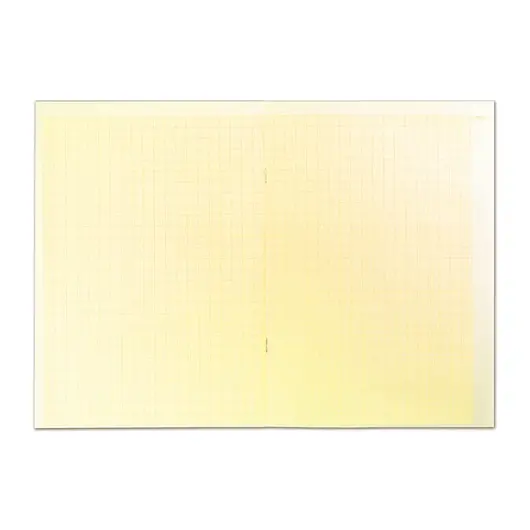 Бумага масштабно-координатная, А4, 210х295 мм, оранжевая, склейка, 25 л., HATBER, 25Бм4Bк 09324, N088883, фото 2