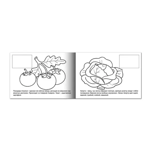 Книжка-раскраска А5, 4 л., HATBER с наклейками, Мои первые уроки, &quot;Овощи&quot;, 4Р5н 05827, R133163, фото 2