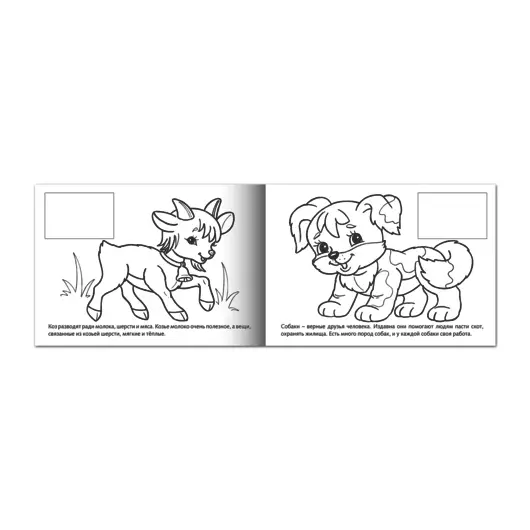 Книжка-раскраска А5, 4 л., HATBER, с наклейками, Мои первые уроки, &quot;Домашние животные&quot;, 4Р5н 05824, R133187, фото 2