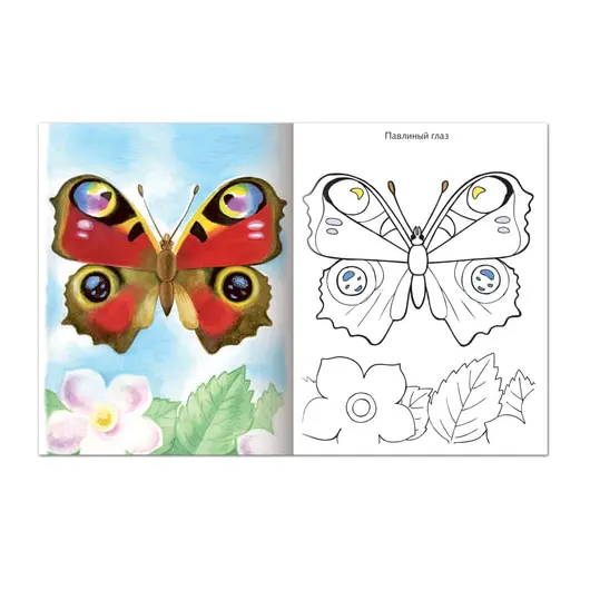 Книжка-раскраска А5, 8 л., HATBER, Первые уроки, &quot;Бабочки&quot;, 8Рц5 10352, R006703, фото 2