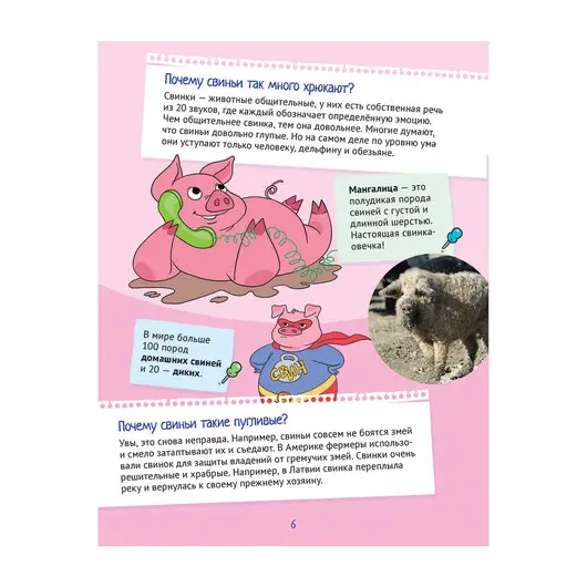 Почему хрюшек считают грязнулями? 100 интересных фактов о домашних животных. Гальчук А. П., К28241, фото 3