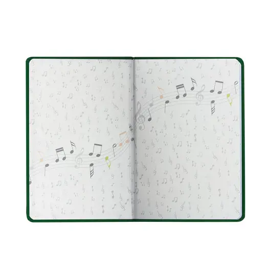 Дневник для музыкальной школы 48 л., обложка кожзам твердый, термотиснение, BRAUBERG, зеленый,105501, фото 3