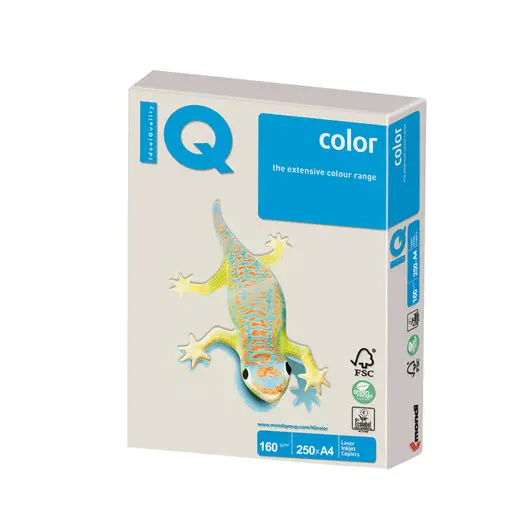 Бумага IQ color, А4, 160 г/м2, 250 л., умеренно-интенсив, серая, GR21, фото 1
