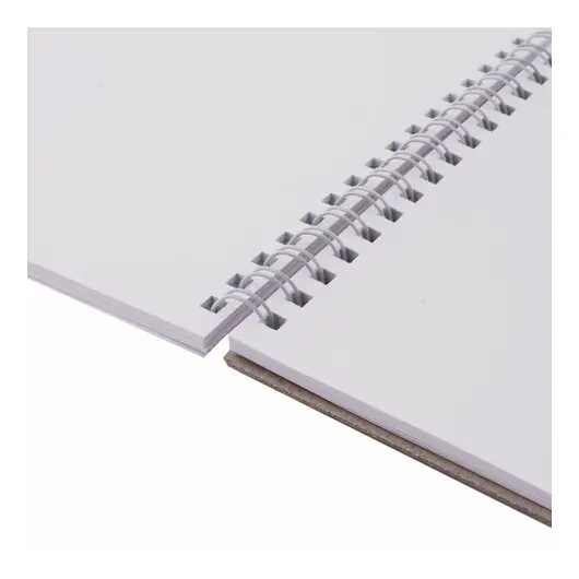 Скетчбук, белая бумага 120 г/м2, 145х205 мм, 40 л., гребень, жёсткая подложка, BRAUBERG ART &quot;DEBUT&quot;, 110988, фото 3