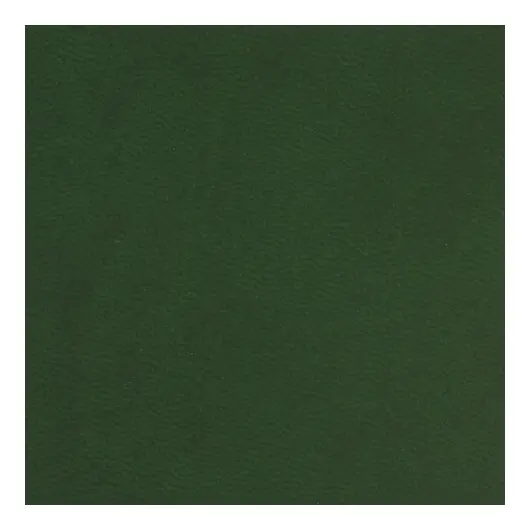 Бизнес-блокнот А5 (148x218 мм), BRAUBERG &quot;Metropolis Mix&quot;, под кожу, 80 л., темно-зеленый, 111037, фото 3