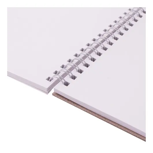 Скетчбук, белая бумага 120 г/м2, 205х290 мм, 40 л., гребень, жёсткая подложка, BRAUBERG ART &quot;DEBUT&quot;, 110984, фото 4