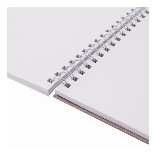 Скетчбук, белая бумага 100 г/м2, 205х290 мм, 50 л., гребень, жёсткая подложка, BRAUBERG ART &quot;DEBUT&quot;, 110983, фото 3