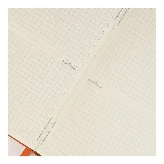 Бизнес-Блокнот А5, 100 л., твердая обложка, балакрон, на резинке, BV, Оранжевый, 3-101/05, фото 5