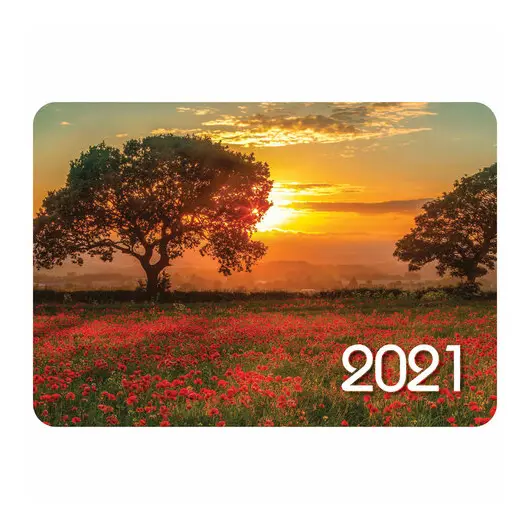 Календарь карманный, 2021 год, 70х100 мм, &quot;Пейзажи&quot;, HATBER, Кк767568, фото 6