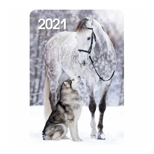 Календарь карманный, 2021 год, 70х100 мм, &quot;Щенки&quot;, HATBER, Кк767575, фото 4